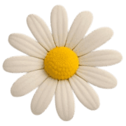 004