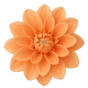016