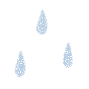 018