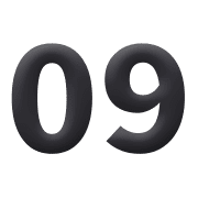 009