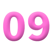 009