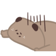 029