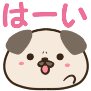 003