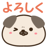 009