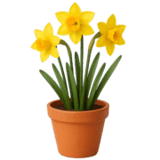 019