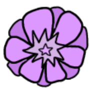 005