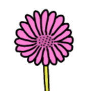 006