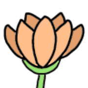 008