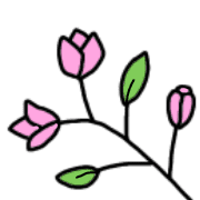 009