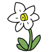 019