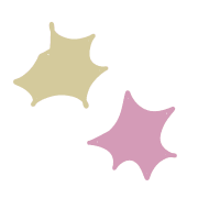 025