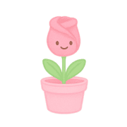 019