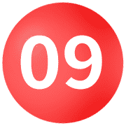 009