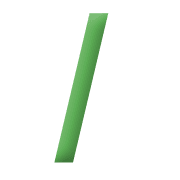 031