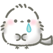 021