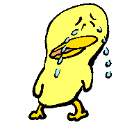 017