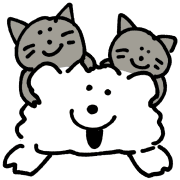 040