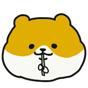 003