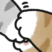 ลายที่ 31