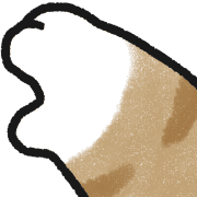 ลายที่ 55