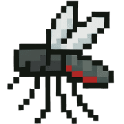 005