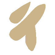 016