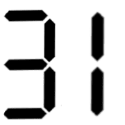 031