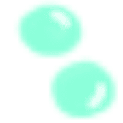 019