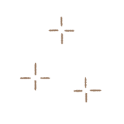 025