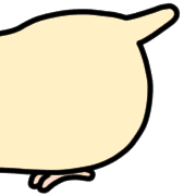 005