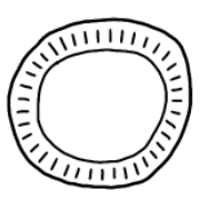 020