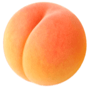 008