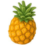 009