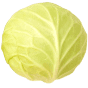 019