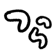 006