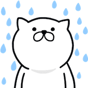 019