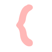 009