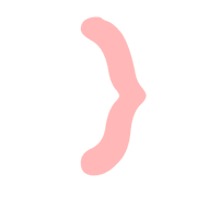 010