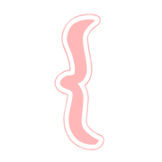 025