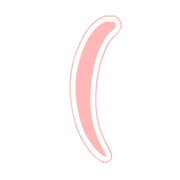 029