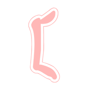 031