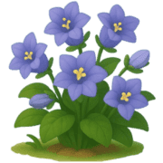 019