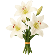 004