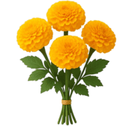 009