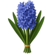 010