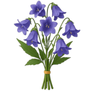 011