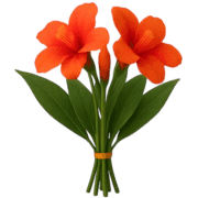 019