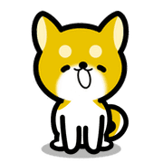 003