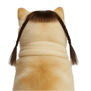 013