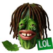 006